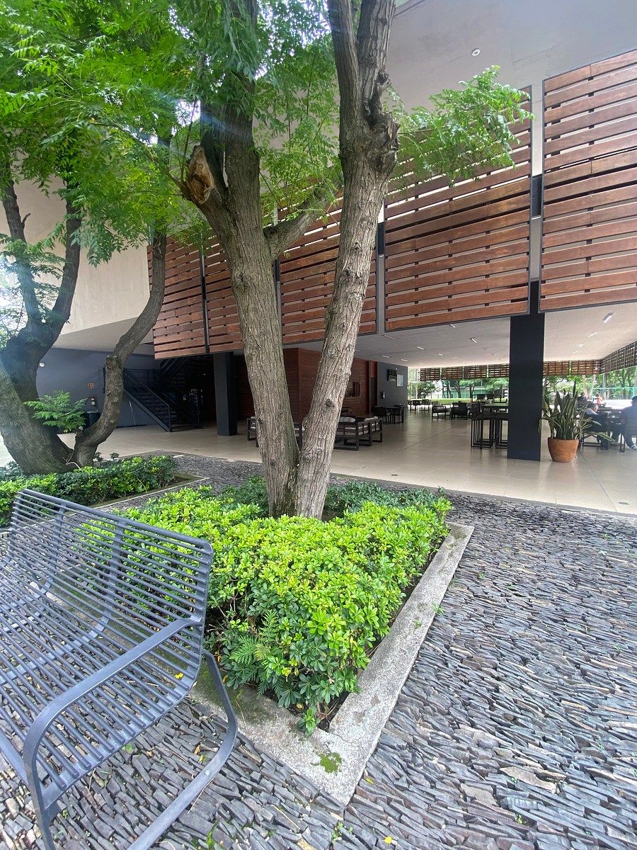 Casa en La Mojonera, Zapopan, foto 41 de 46