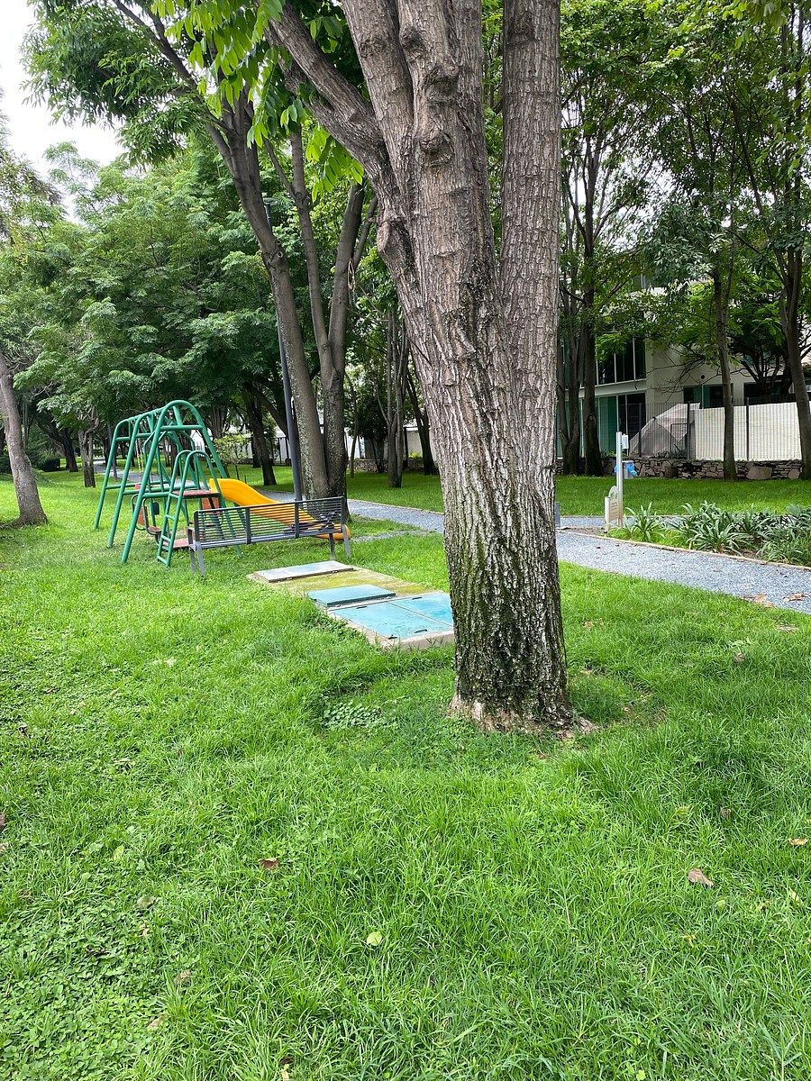 Casa en La Mojonera, Zapopan, foto 46 de 46