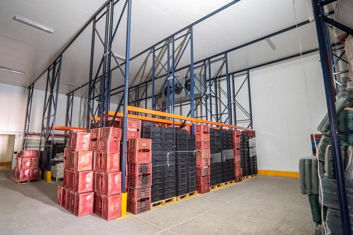 Galpão industrial em El Mante, Zapopan, foto 4 de 8