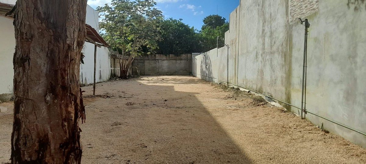 Terreno en Alfredo V Bonfil, Benito Juárez, foto 2 de 6