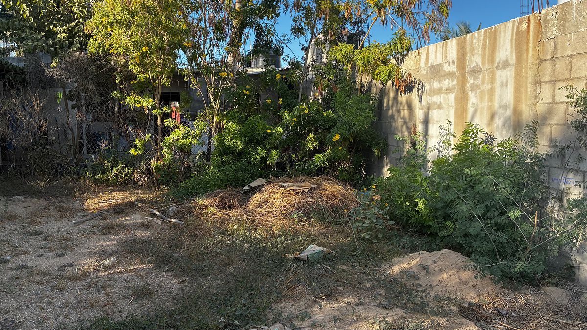 Casa en Zacatal Zona Norte, Los Cabos, foto 10 de 14