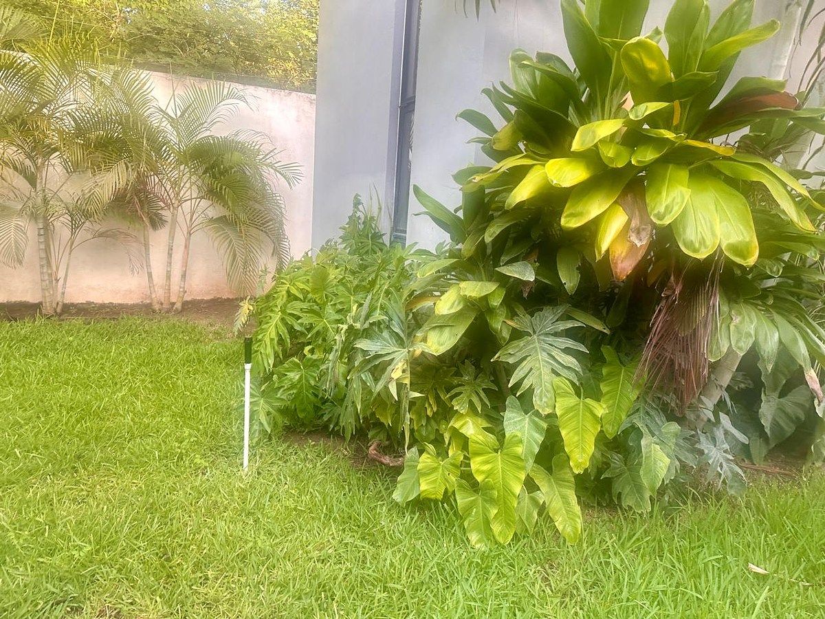 Casa em Temozón Norte, Mérida, foto 12 de 21