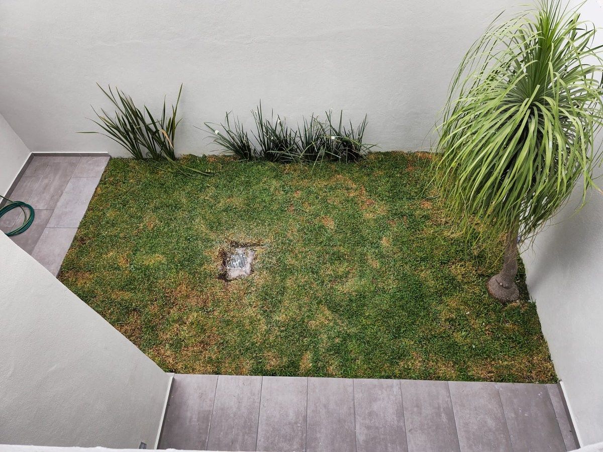 Casa em Colinas de Las Águilas, Zapopan, foto 12 de 27