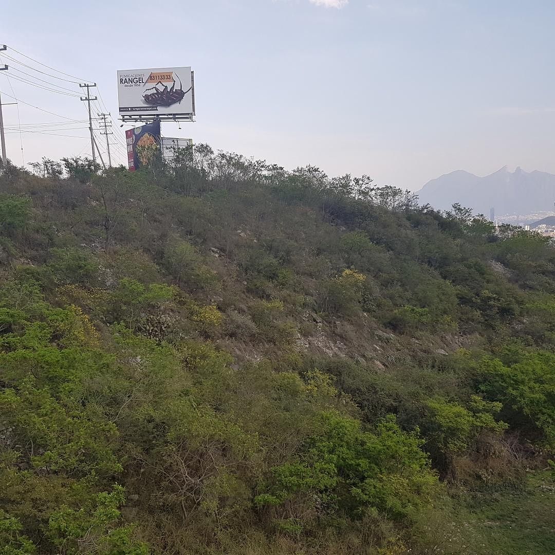Lote comercial em Colinas de San Jerónimo, Monterrey, foto 2 de 8