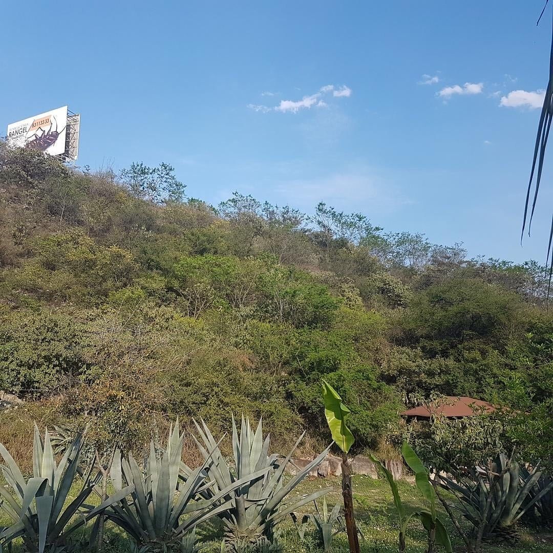 Terreno à Venda, San Jerónimo mty nl, foto 1 de 8