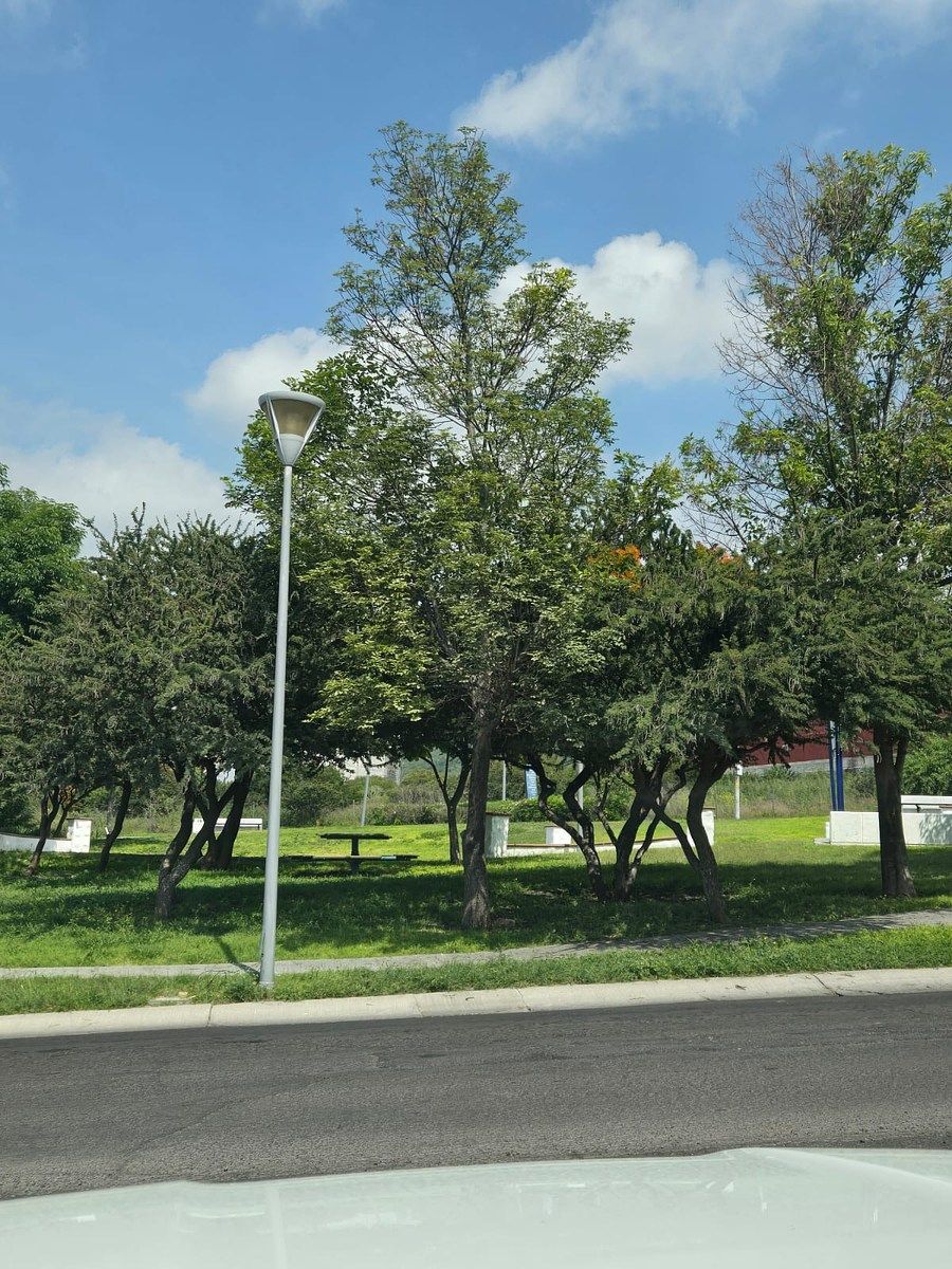 Local em Residencial el Refugio, Querétaro, foto 11 de 29