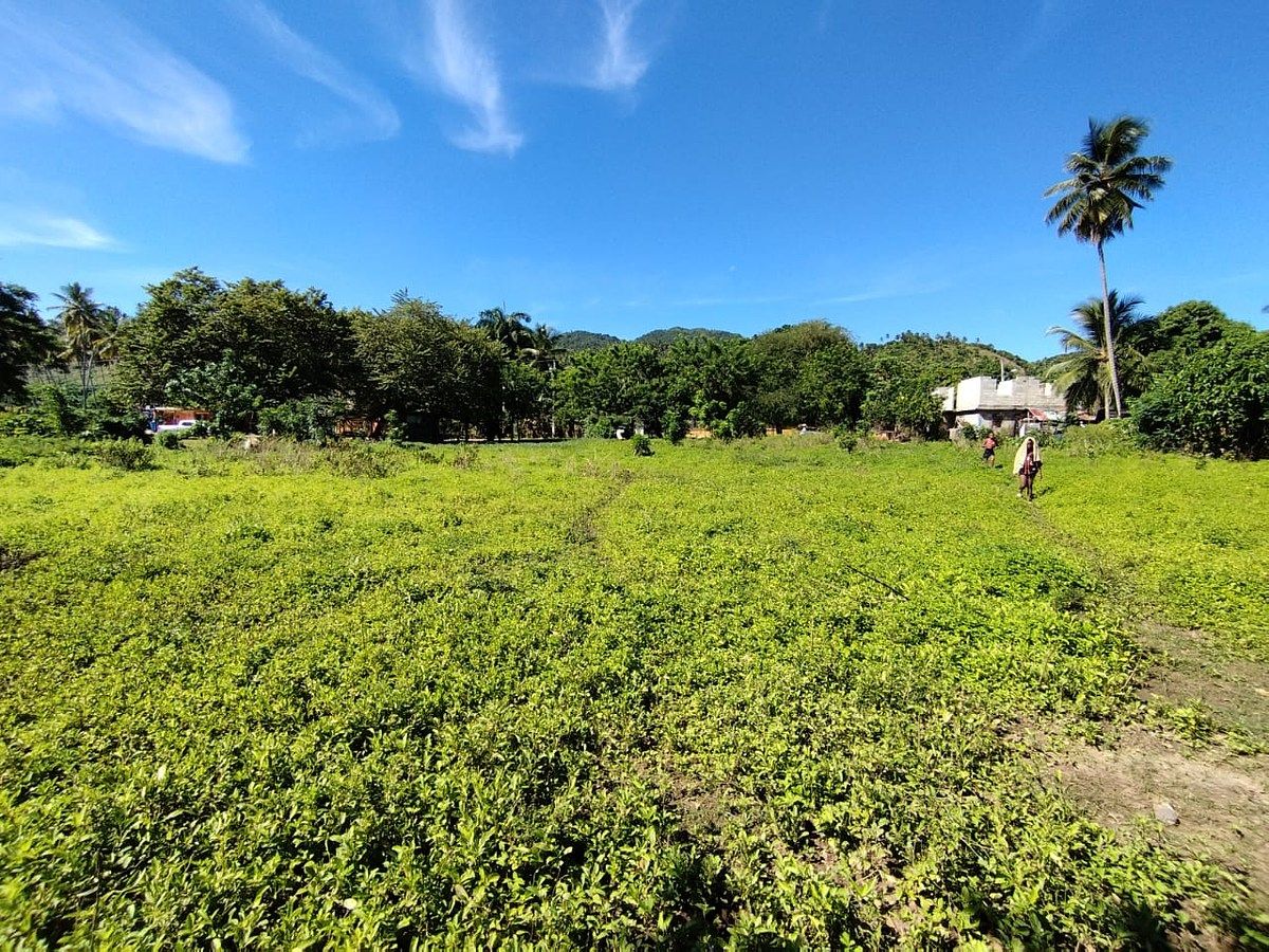 Terreno en Santo Domingo Centro (Distrito Nacional), foto 5 de 6