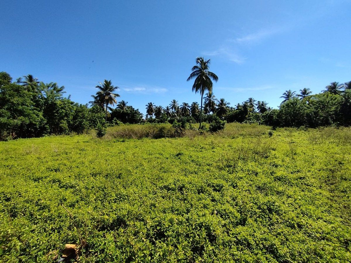 Terreno en Santo Domingo Centro (Distrito Nacional), foto 6 de 6