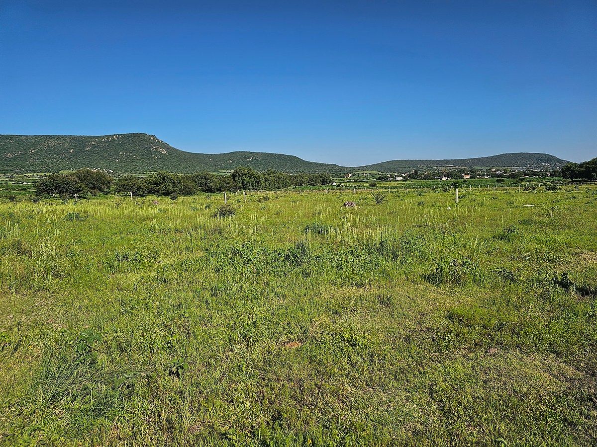 Countryside land to build a self-sustaining house