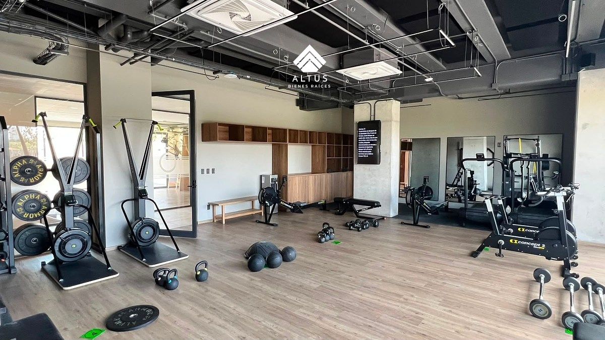 Gym, foto 45 de 50