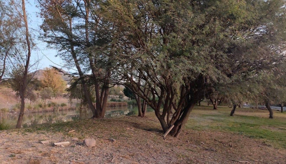 Lote em El Encino, Huimilpan, foto 12 de 14
