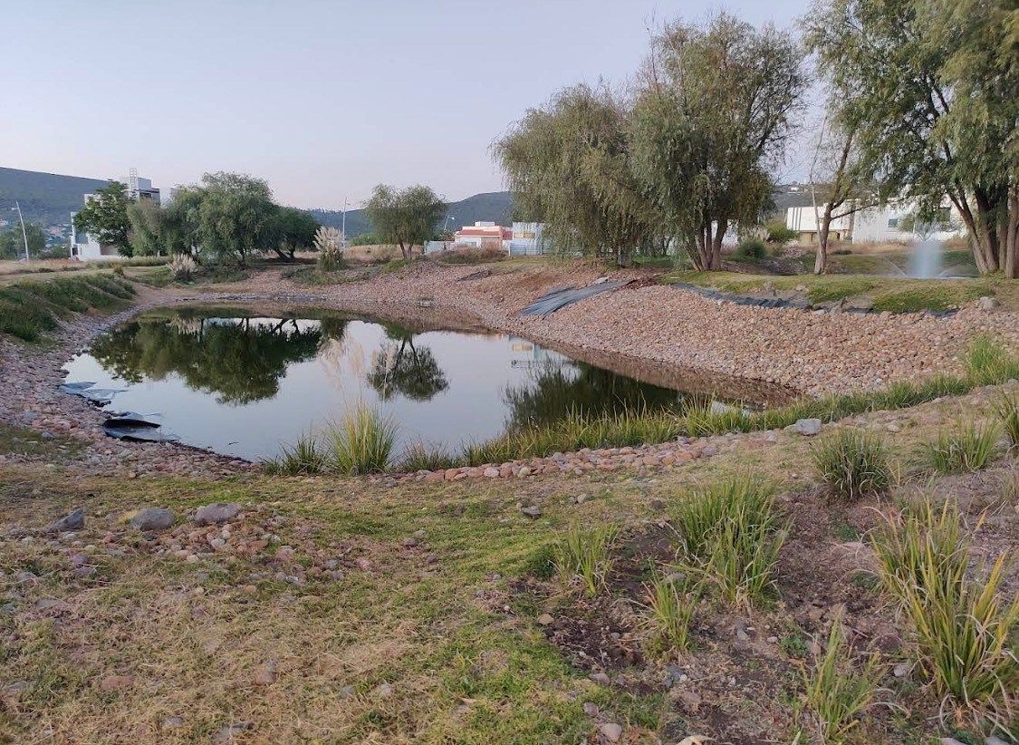 Lote em El Encino, Huimilpan, foto 13 de 14