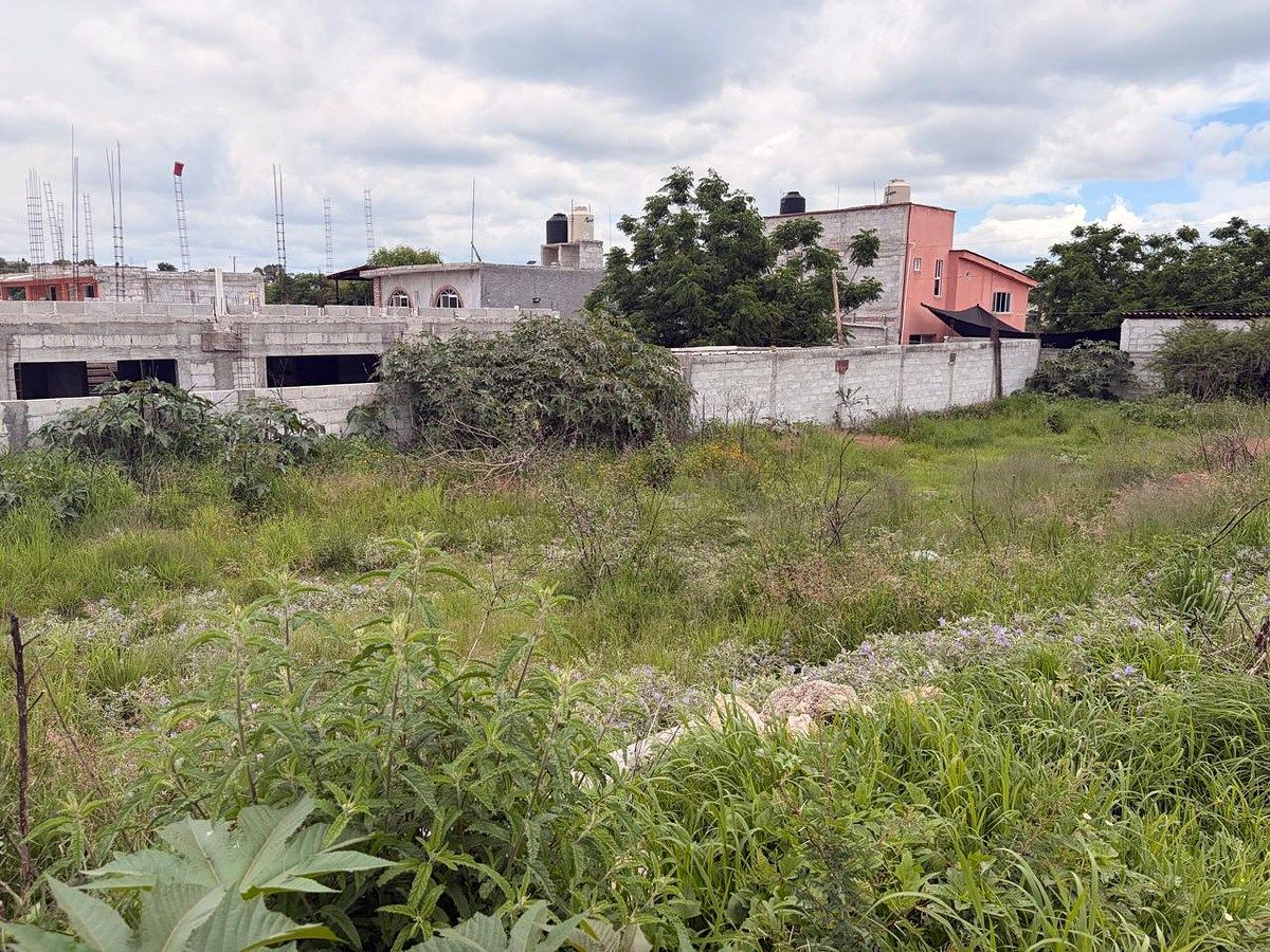 Lote em Saldarriaga, El Marqués, foto 4 de 7