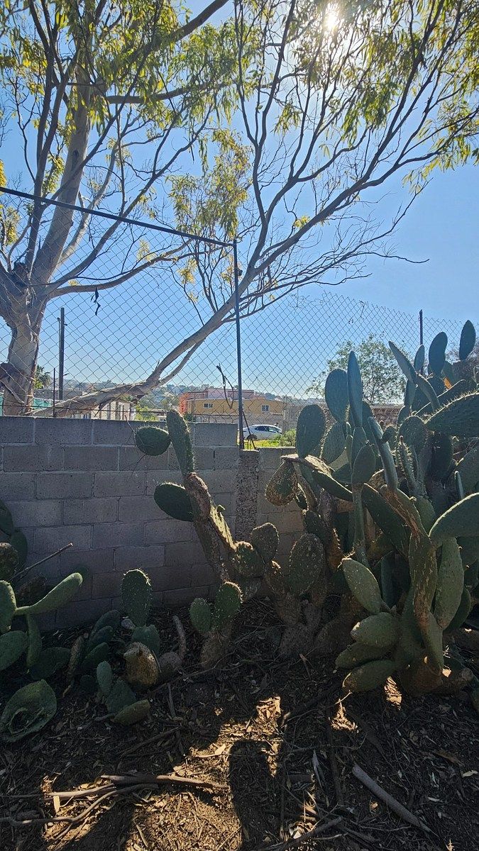 Lote em El Mañana, Playas de Rosarito, foto 6 de 10