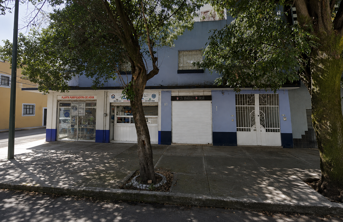 House in Roma Sur, Cuauhtémoc, photo 3 of 25