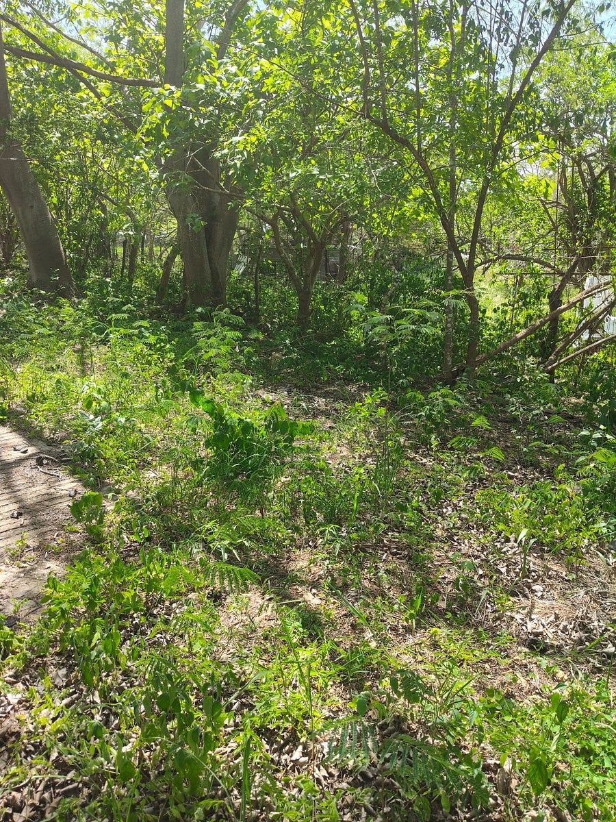 Terreno en Grand Pedregal, Berriozábal, foto 4 de 5