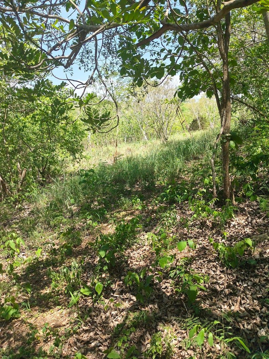 Terreno en Grand Pedregal, Berriozábal, foto 5 de 5