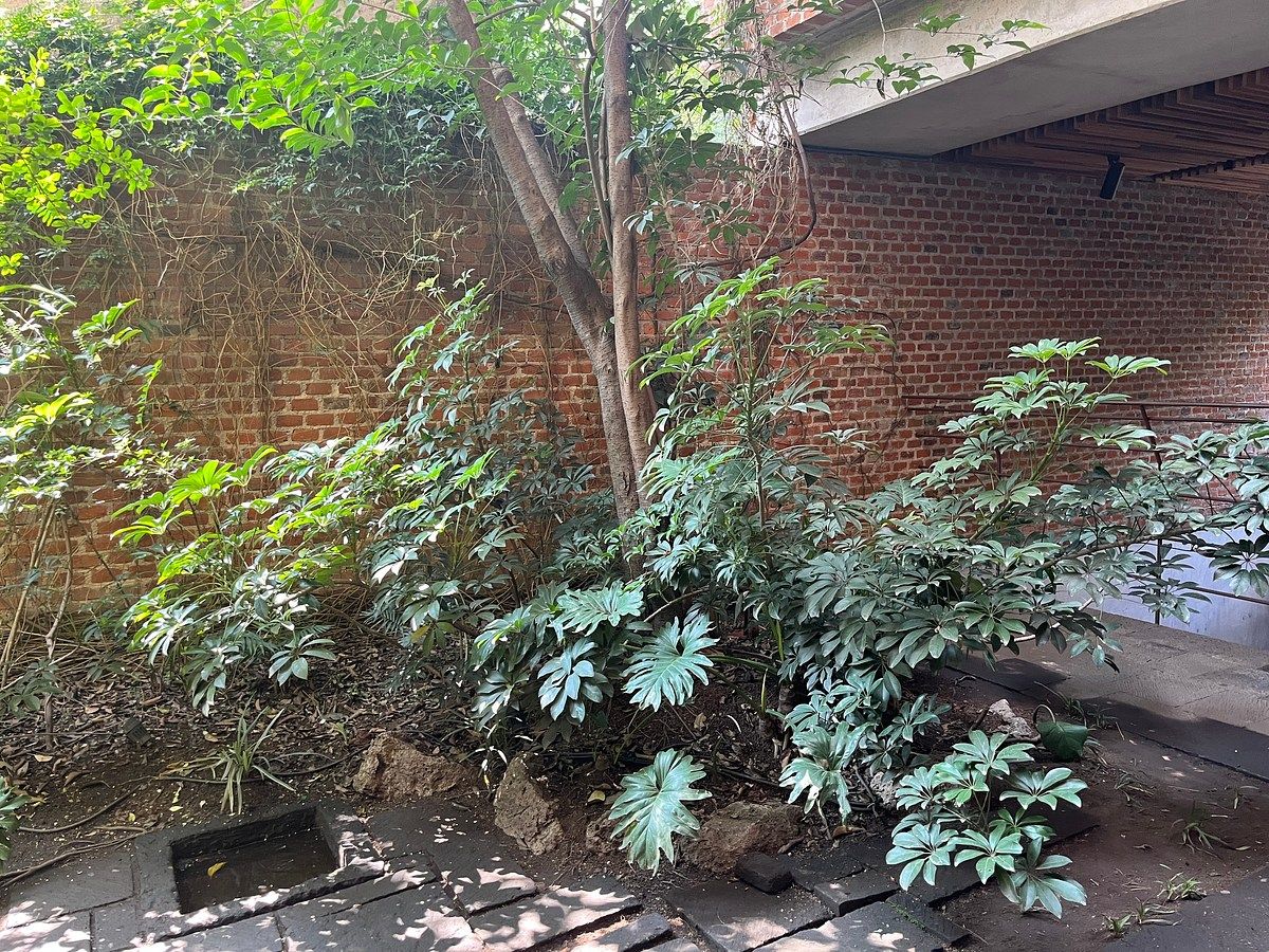 Apartamento em San Miguel Chapultepec I Sección, Miguel Hidalgo, foto 35 de 38
