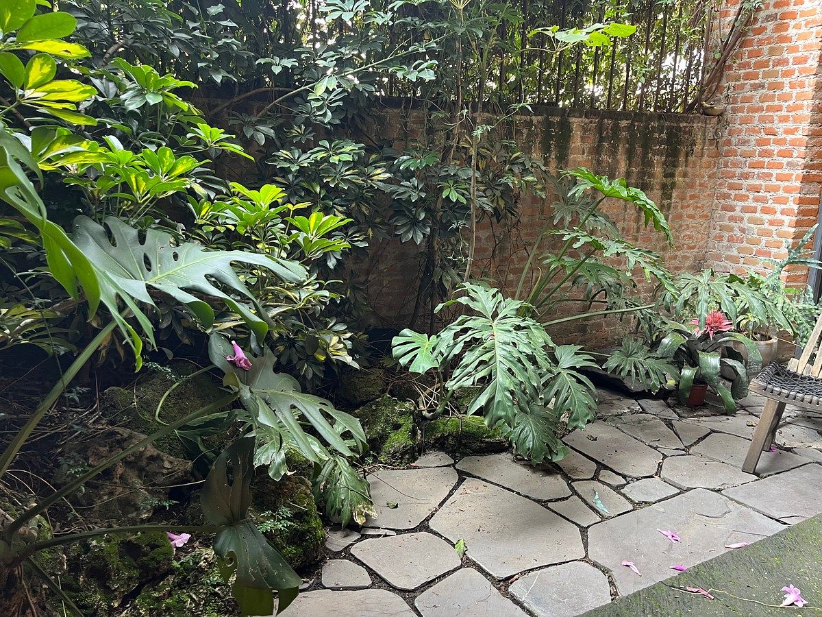 Apartamento em San Miguel Chapultepec I Sección, Miguel Hidalgo, foto 8 de 38