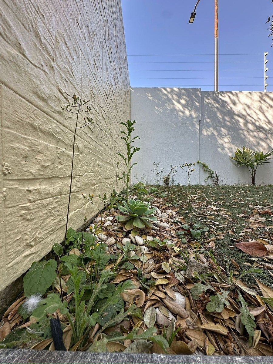 Casa en Solares, Zapopan, foto 24 de 30