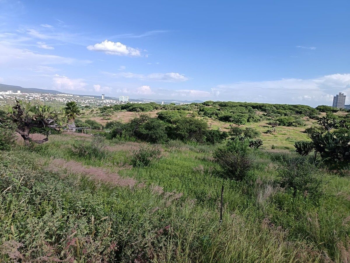 Lote em El Nabo, Querétaro, foto 5 de 6