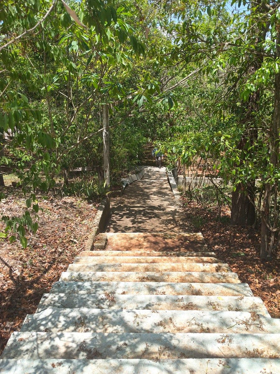 Terreno en Grand Pedregal, Berriozábal, foto 3 de 6