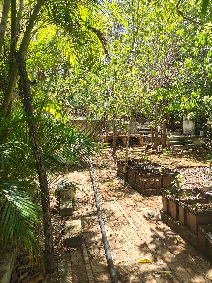 Terreno en Grand Pedregal, Berriozábal, foto 6 de 6