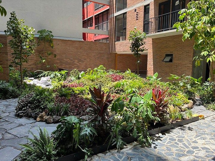 Apartamento em Del Valle Centro, Benito Juárez, foto 11 de 15