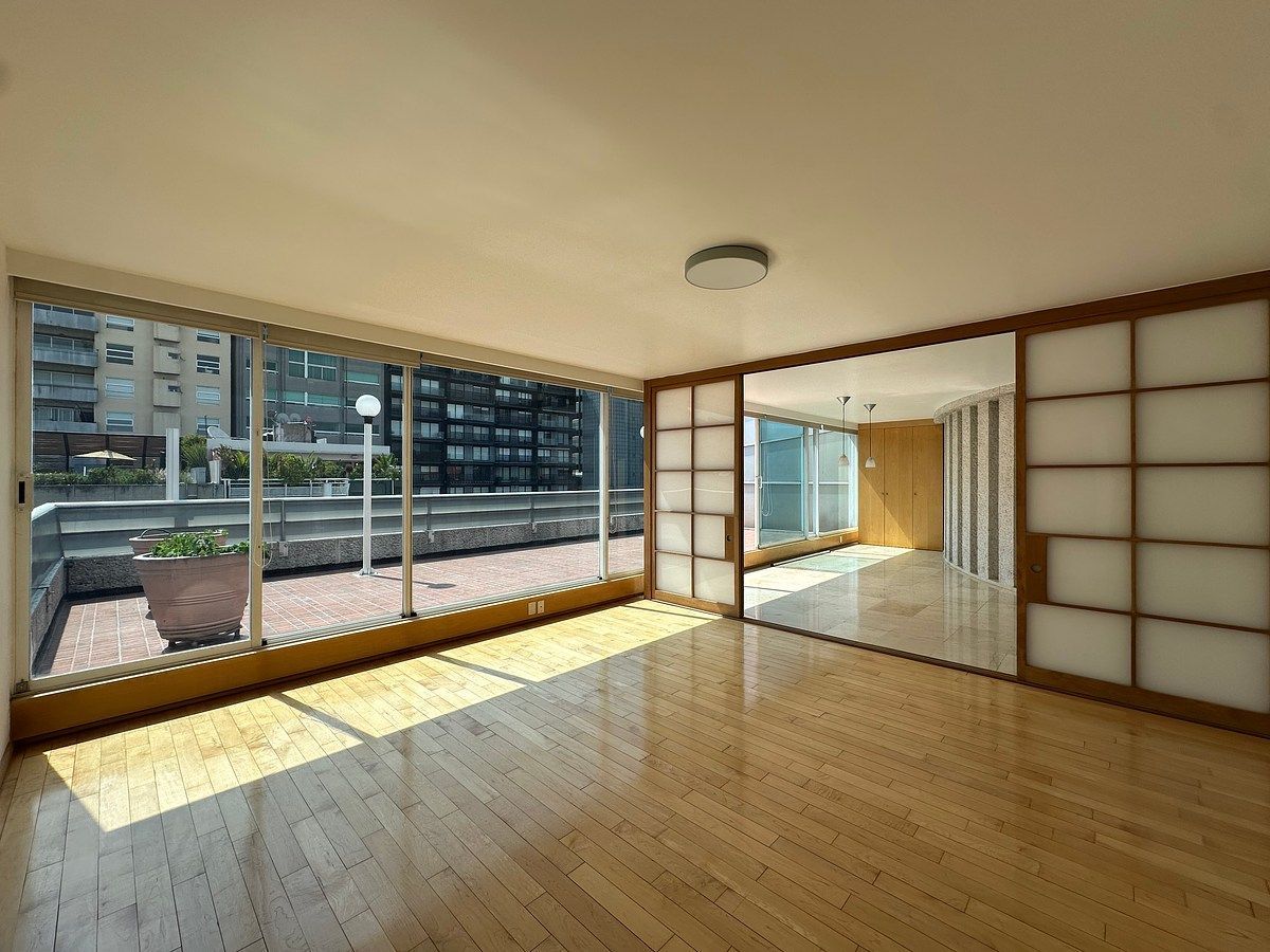 POLANCO ZONA IV APARTAMENTO PH COM TERRAÇO PARA ALUGAR, foto 1 de 23