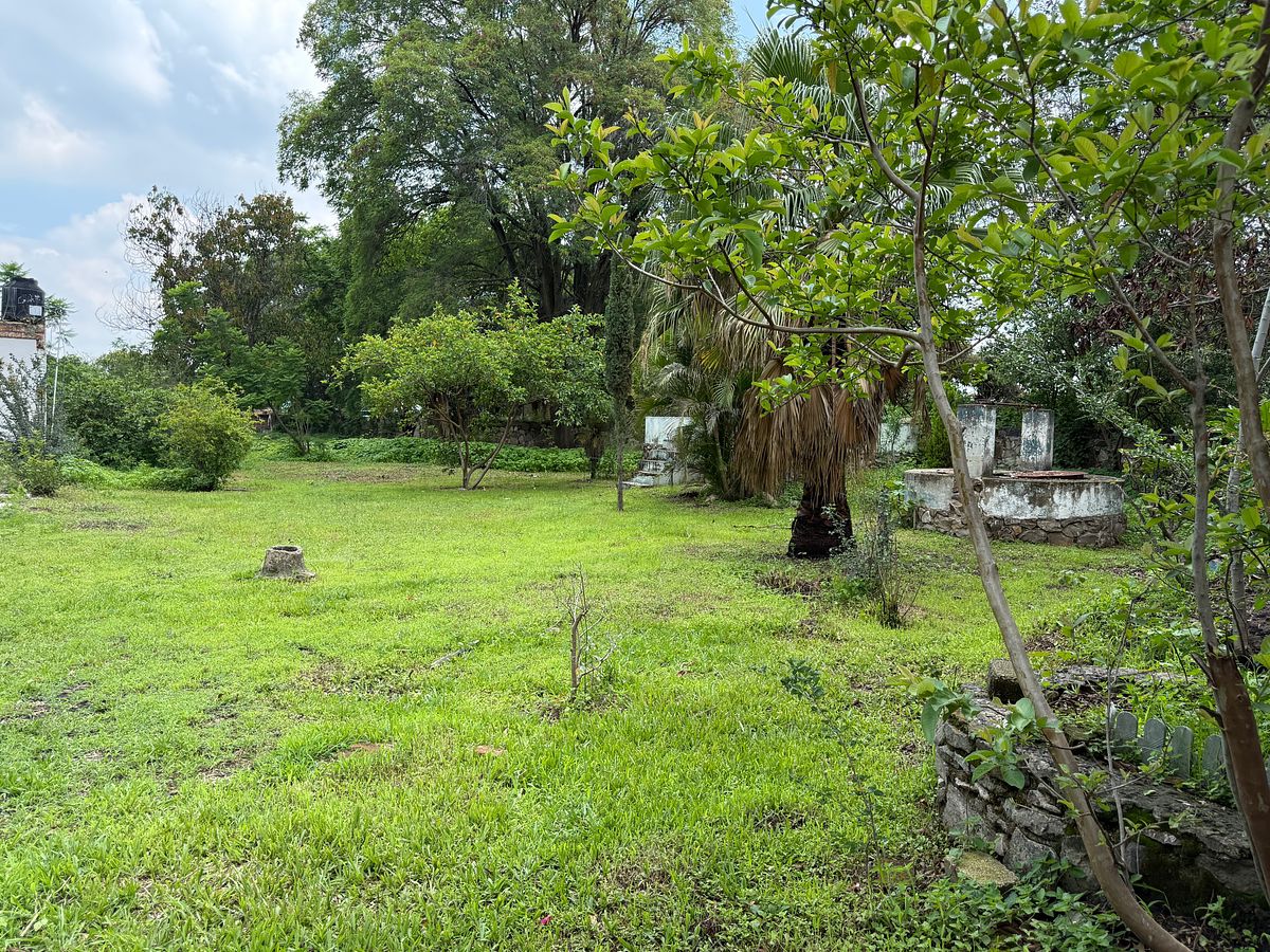 Lote em San Juan Evangelista (San Juan), Tlajomulco de Zúñiga, foto 3 de 12