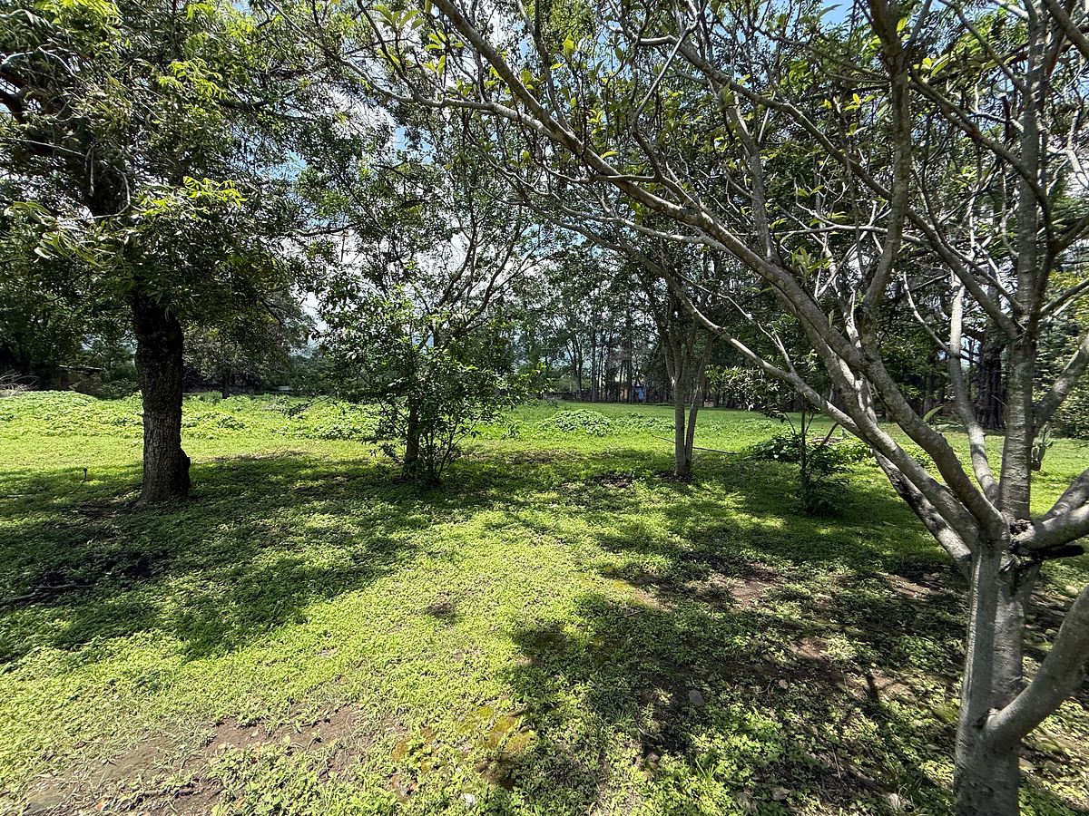 Lote em San Juan Evangelista (San Juan), Tlajomulco de Zúñiga, foto 8 de 12