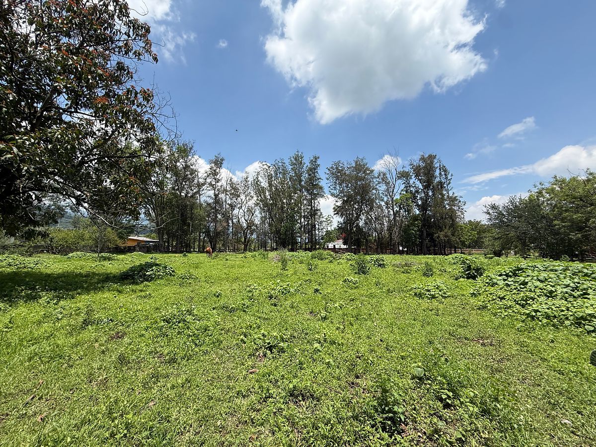 Lote em San Juan Evangelista (San Juan), Tlajomulco de Zúñiga, foto 9 de 12