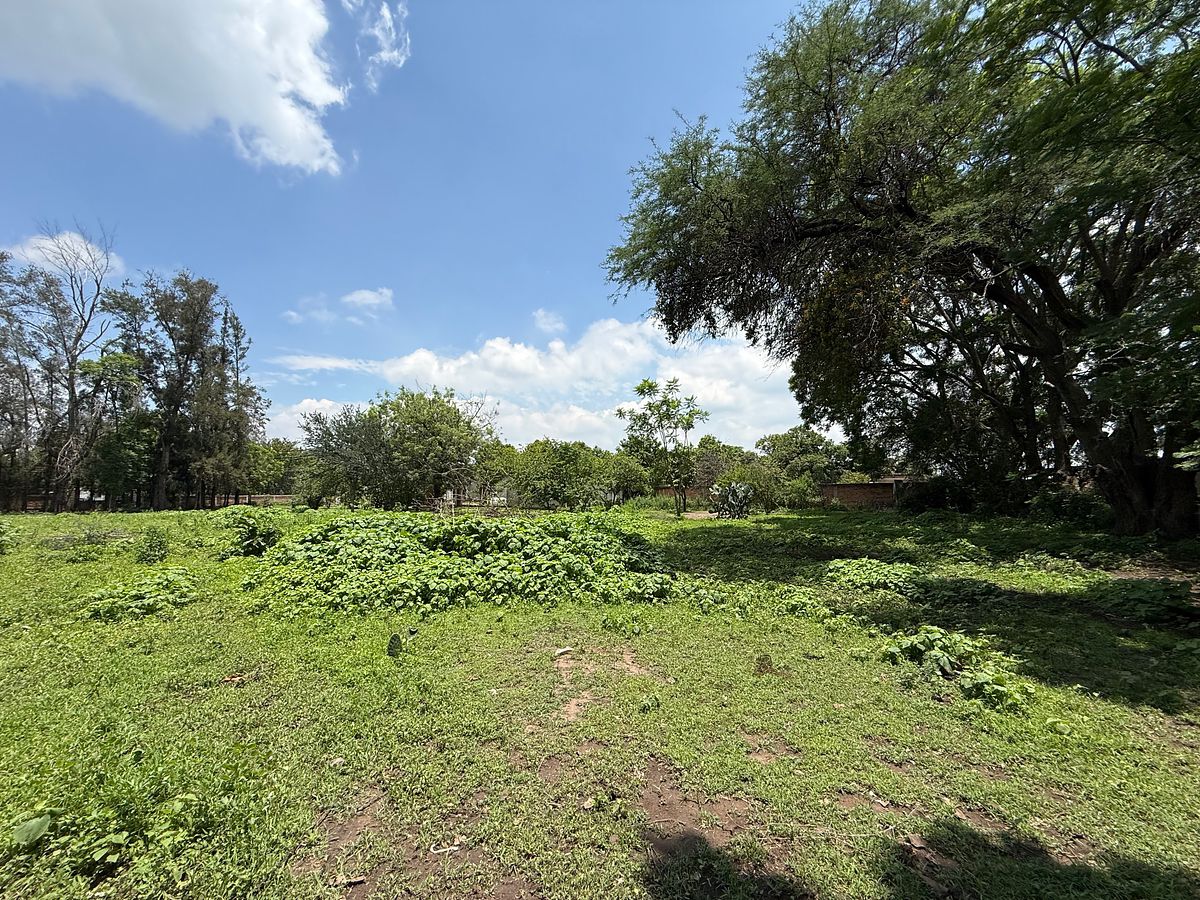 Lote em San Juan Evangelista (San Juan), Tlajomulco de Zúñiga, foto 10 de 12