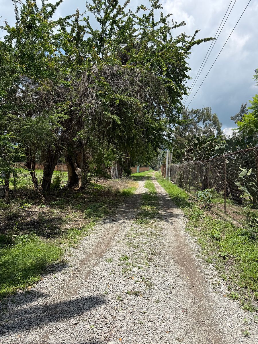 Lote em San Juan Evangelista (San Juan), Tlajomulco de Zúñiga, foto 11 de 12