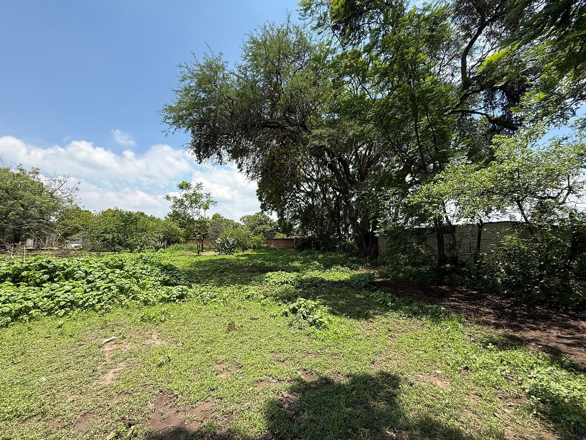Lote em San Juan Evangelista (San Juan), Tlajomulco de Zúñiga, foto 12 de 12