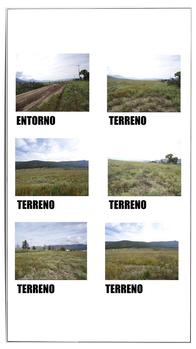 Lot in Los Lirios, Arteaga, photo 3 of 3