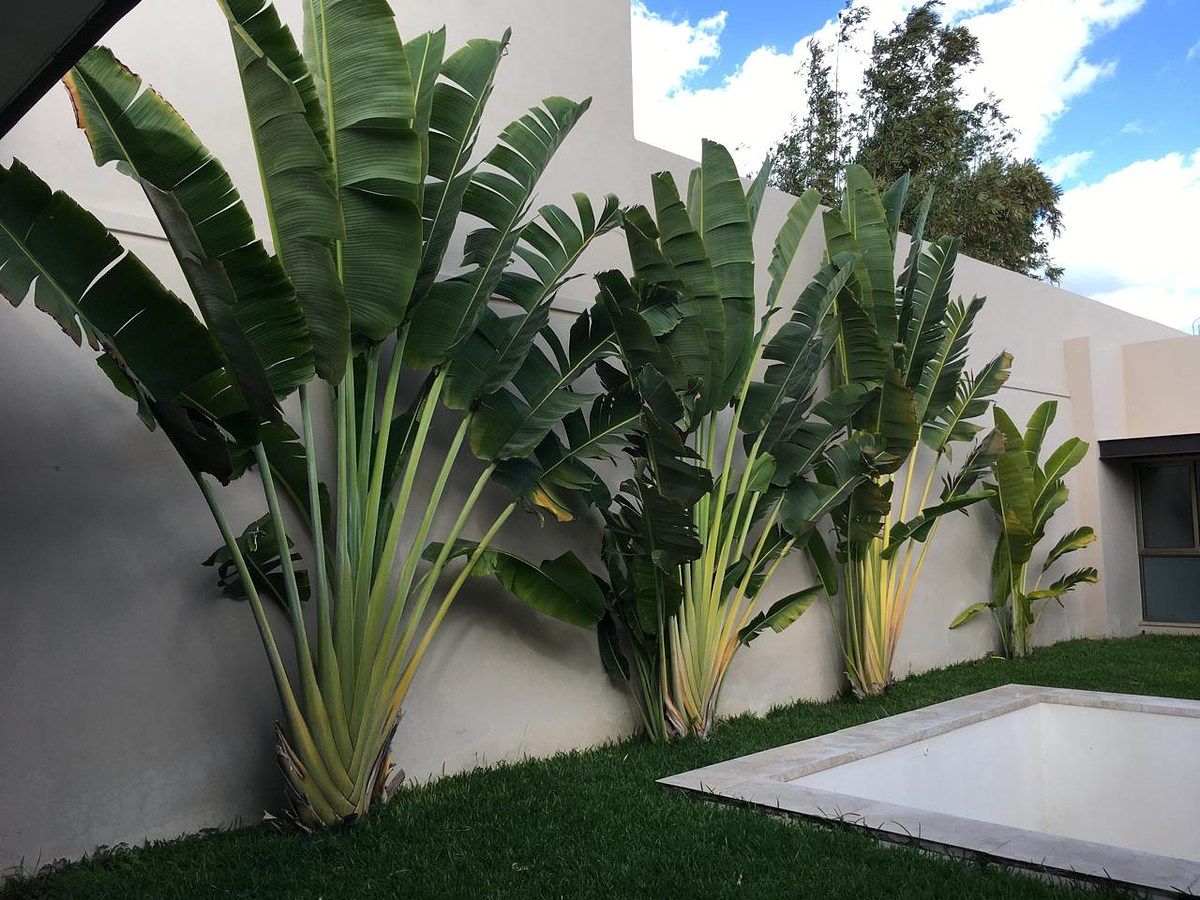 Casa en Montecristo, Mérida, foto 13 de 20