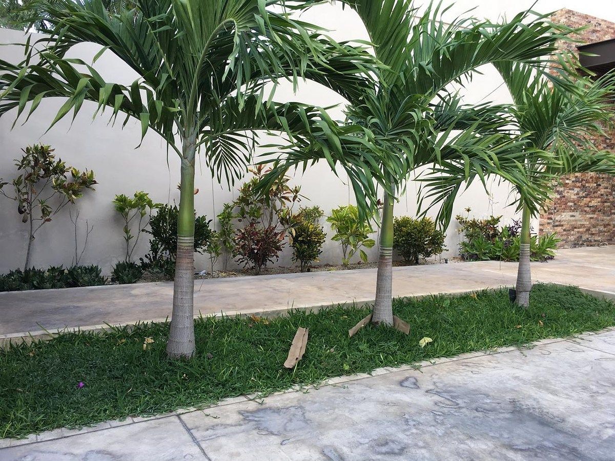 Casa en Montecristo, Mérida, foto 16 de 20