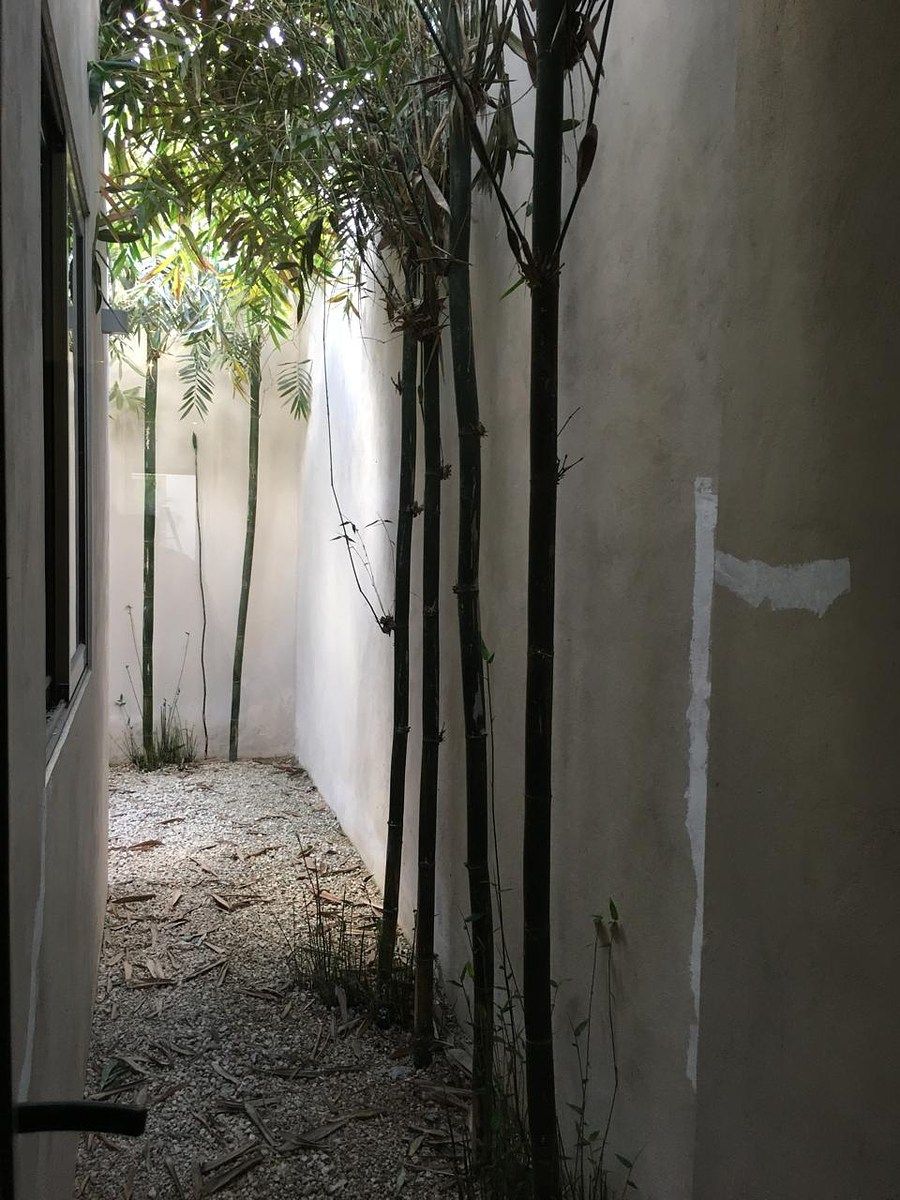 Casa en Montecristo, Mérida, foto 18 de 20
