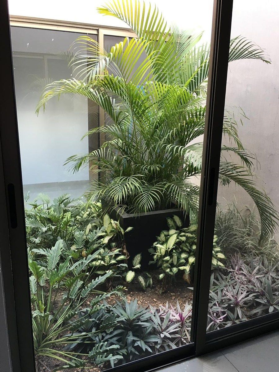Casa en Montecristo, Mérida, foto 17 de 20