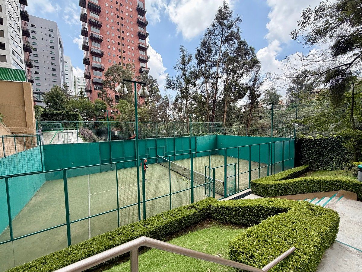 Cancha de pádel, foto 17 de 21