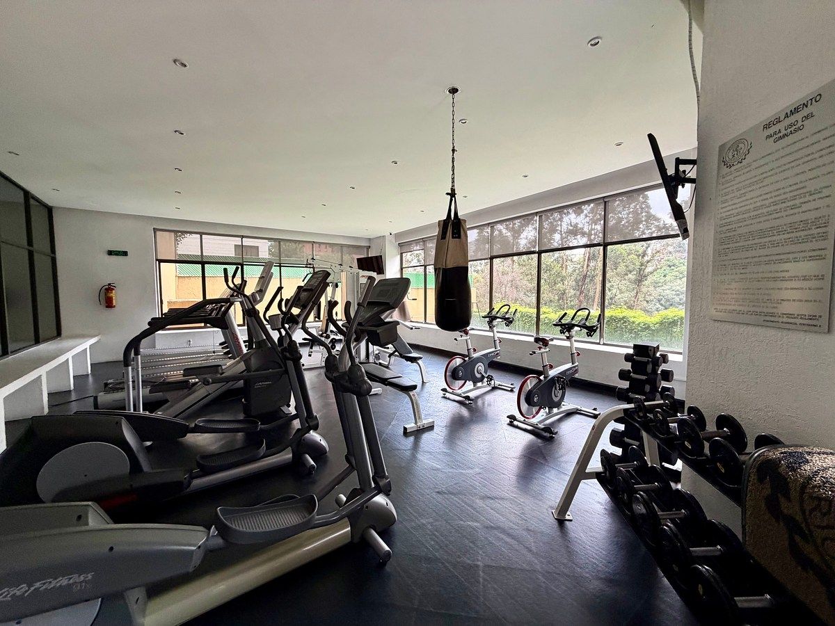 Gimnasio, foto 20 de 21
