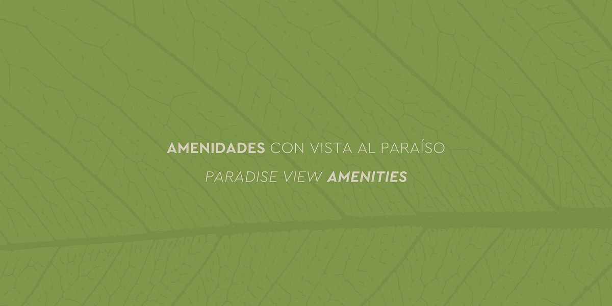 Apartamento em Puerto Morelos, Puerto Morelos, foto 12 de 26