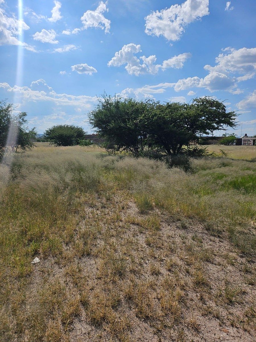 Lote 19 à Venda na Col 23 de Março, Durango, Dgo., México, foto 1 de 4