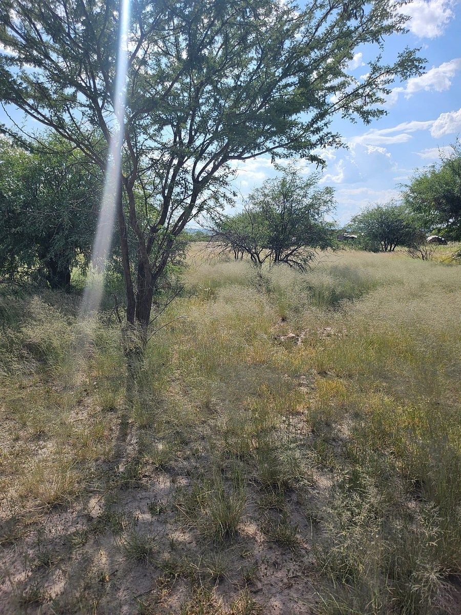 Lote em 23 de Marzo, Durango, foto 2 de 4