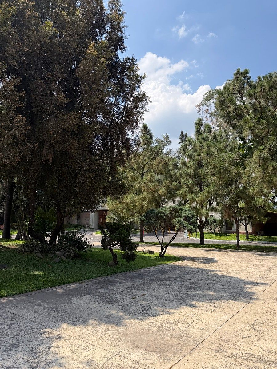 Lote em San Agustin, Tlajomulco de Zúñiga, foto 11 de 12