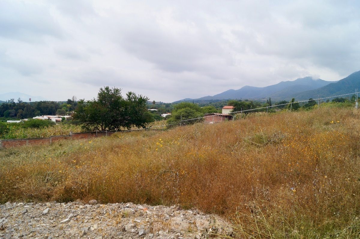 Lote em Chapala Haciendas, Chapala, foto 20 de 42