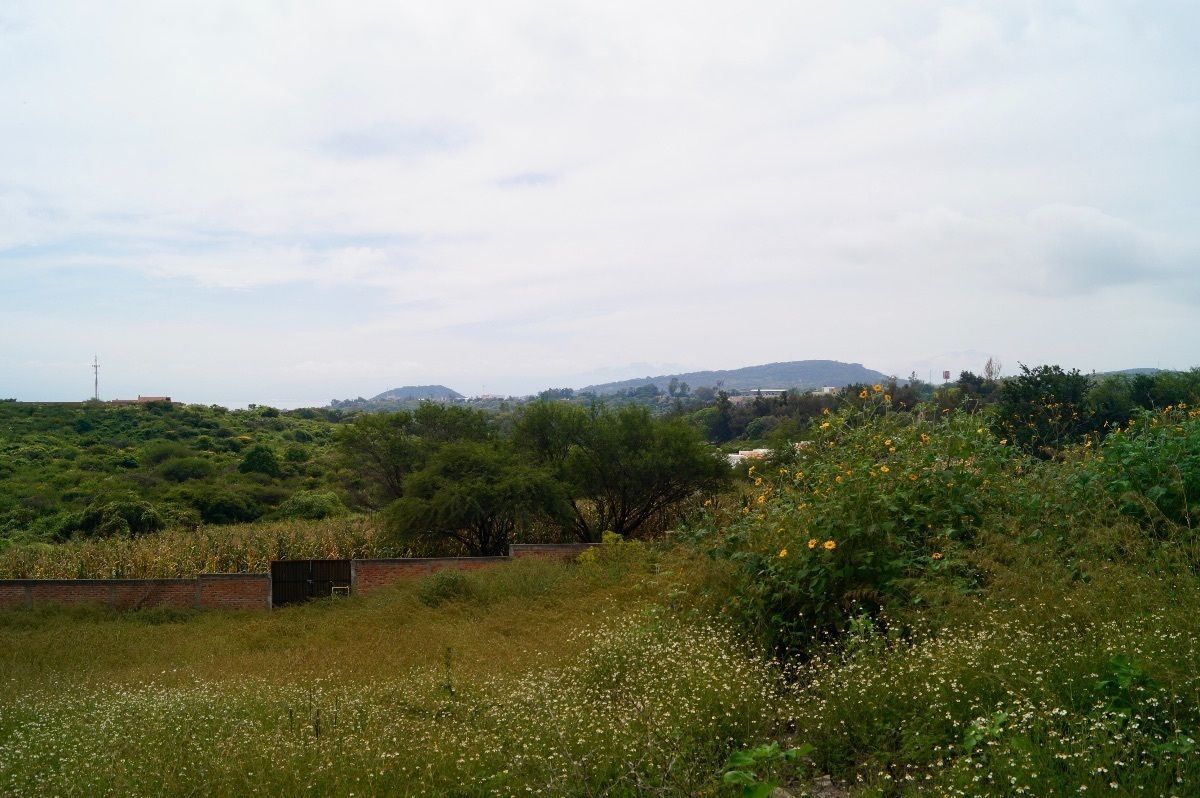Lote em Chapala Haciendas, Chapala, foto 32 de 42