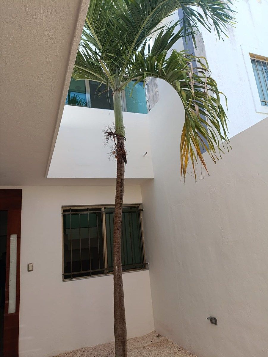 House in Las Américas, Mérida, photo 4 of 38