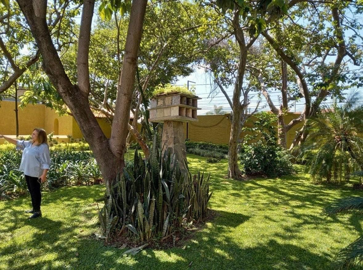 House in Santa Anita Camino Real, Tlaquepaque, photo 3 of 21